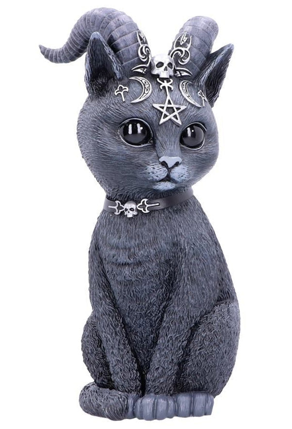 Pawzuph 26.5cm (Large)