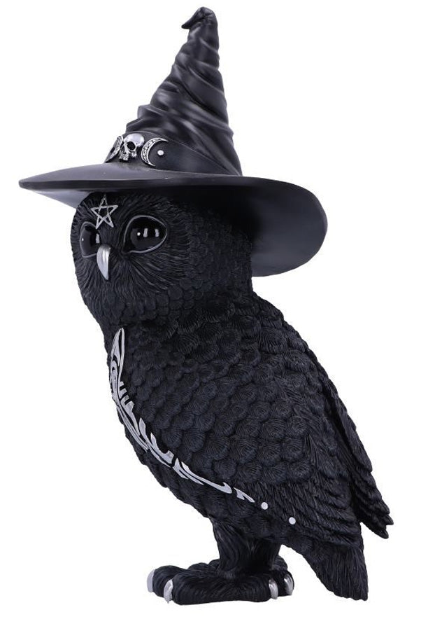 Owlocen 30cm (Large)