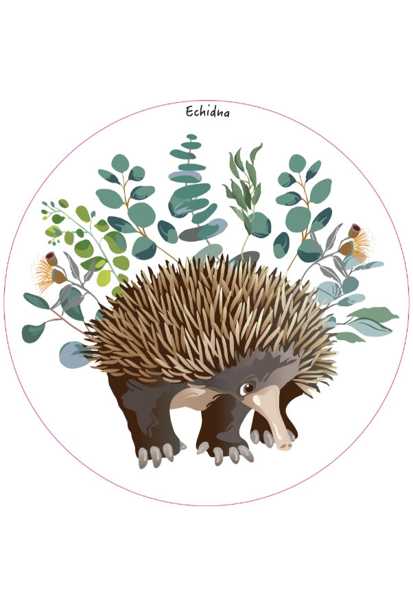 Echidna Fridge Magnet