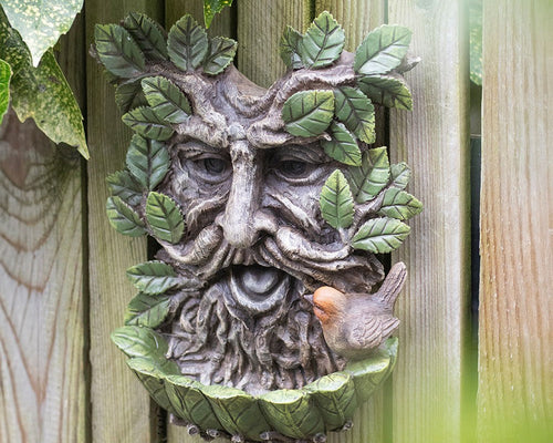 Home & Garden