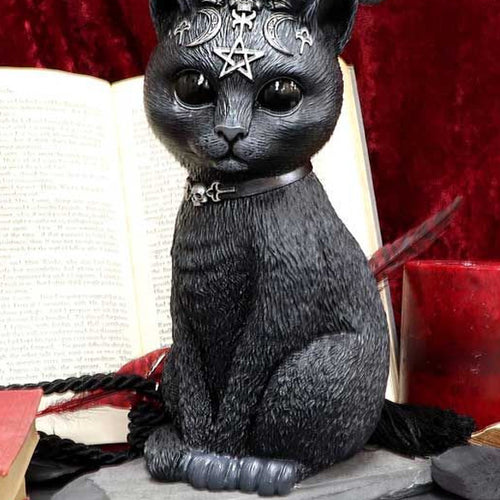 Pawzuph 26.5cm (Large)