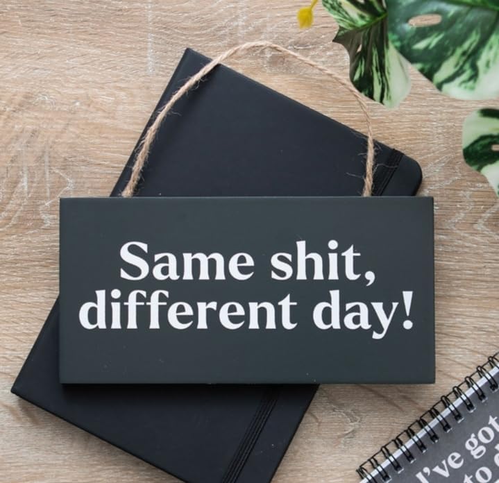 Same Sh*t, Different Day Hanging MDF Sign