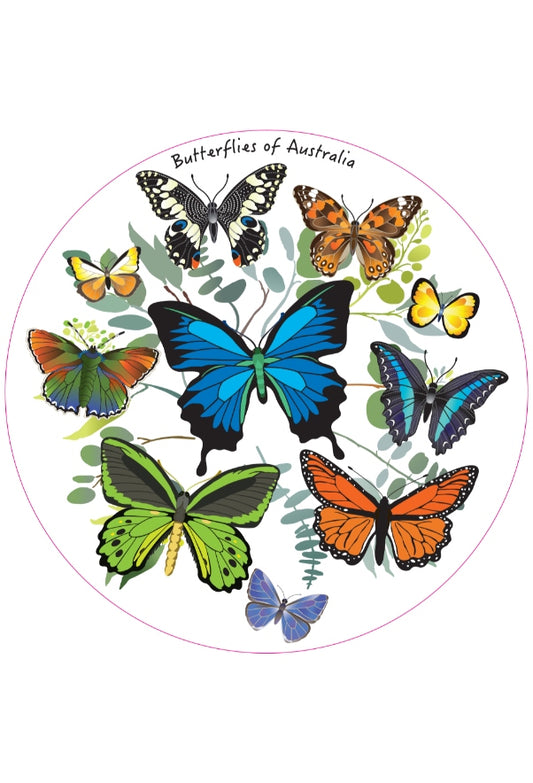 Butterflies of Australia Fridge Magnet